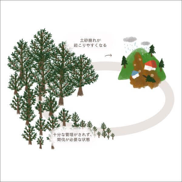 現在の森林イメージ