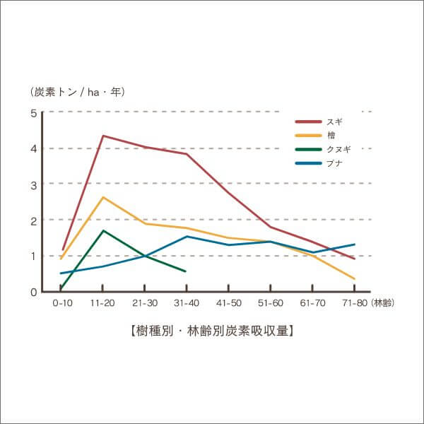 樹種別・林齢別炭素吸収量