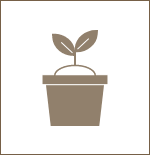 植林・育林アイコン