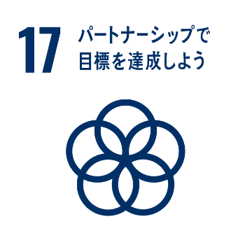 17.パートナーシップで目標を達成しよう