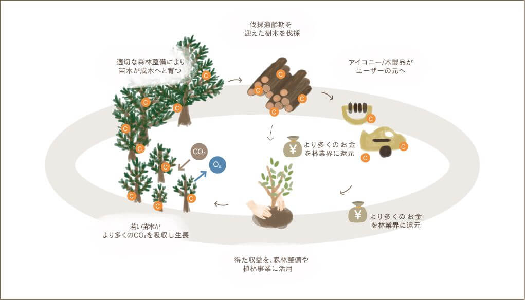 カーボンポジティブ循環図