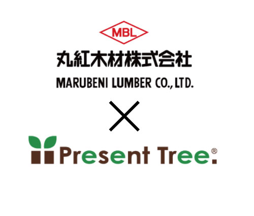 Present Treeサイトに掲載されました！丸紅木材が挑む「植える」森林サイクルへの参入