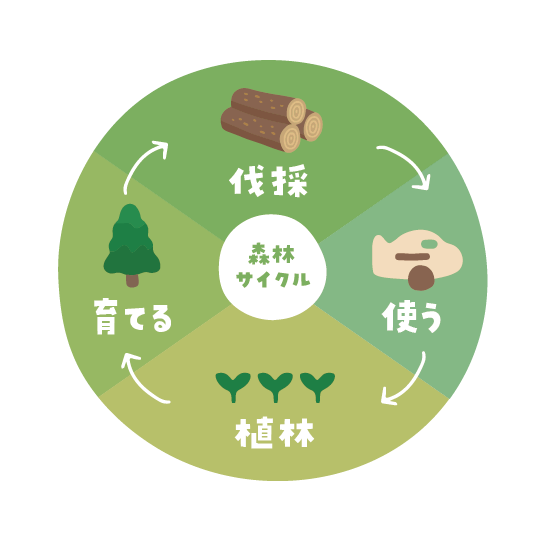 森林サイクル図（伐採→使う→植林→育てる）