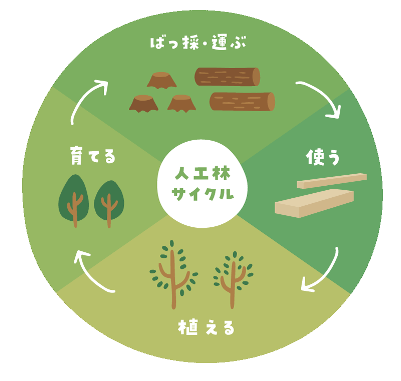 人工林サイクル図(伐採・運ぶ→使う→植える→育てる)