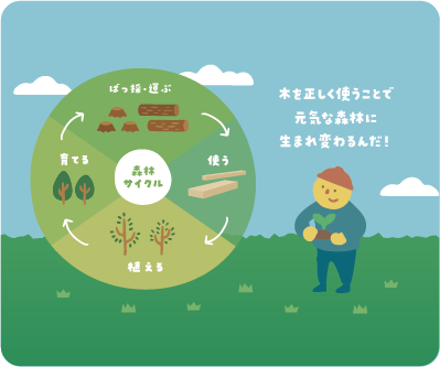 伐る・使う・植える・育てる 森林サイクルの図